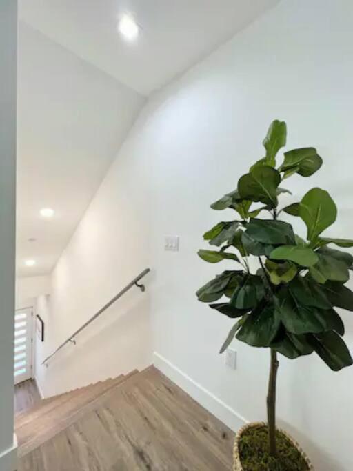 4Br Townhouse In Koreatown Los Angeles Ngoại thất bức ảnh